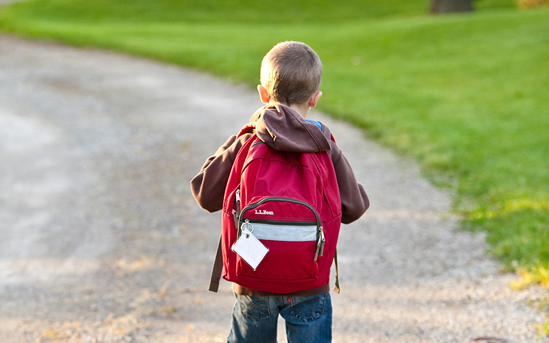 tooth-healthy school lunch, kid, backpack, Darlene Sand Wall DMD, dentistry